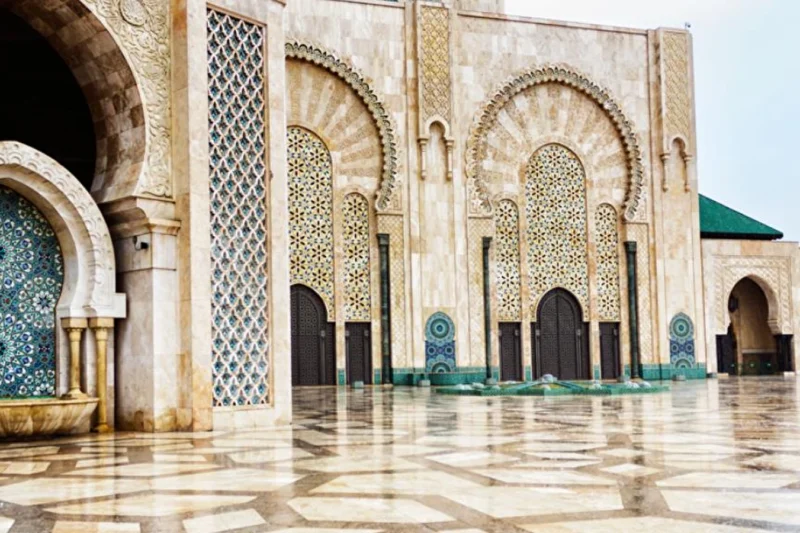 ELEGANT SAHRA ÇÖLÜ & TUNUS HAZİNELERİ w