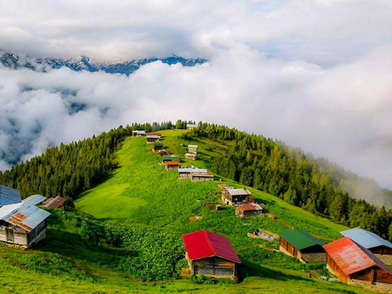 BATUMLU KARADENİZ TURU