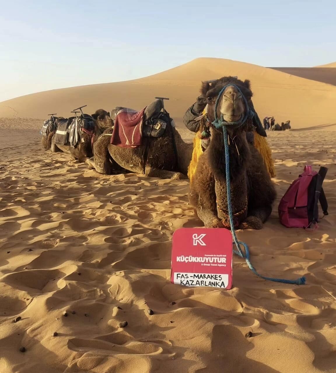 FAS İKONLARI & BÜYÜK SAHRA ÇÖLÜ