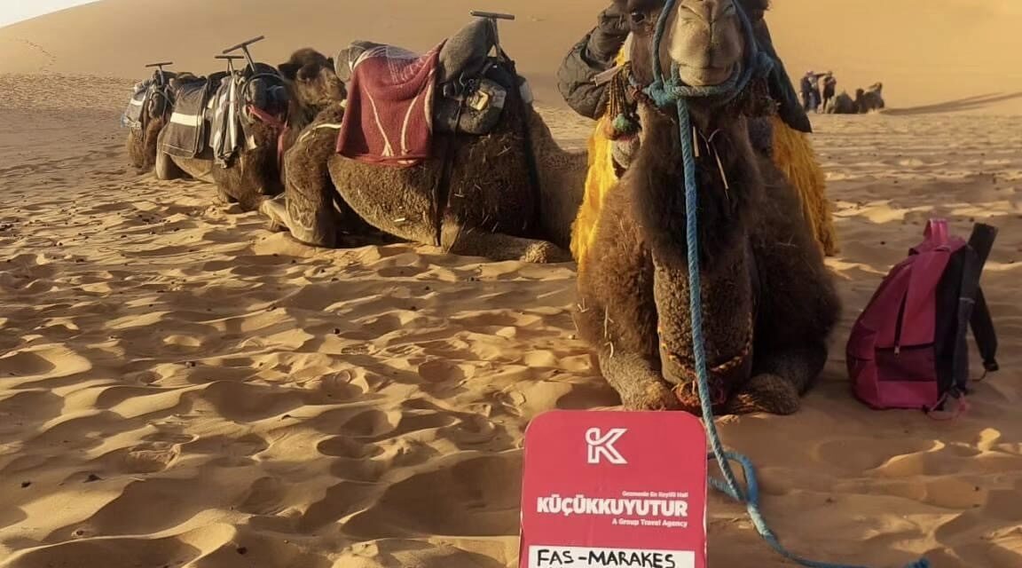 FAS İKONLARI & BÜYÜK SAHRA ÇÖLÜ