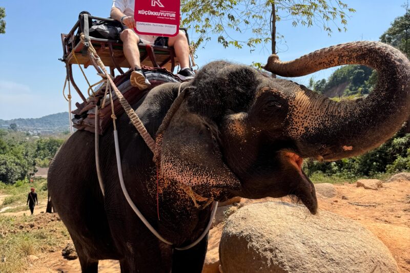 PATTAYA TURU VİZESİZ