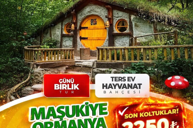 ORMANYA SAPANCA MAŞUKİYE