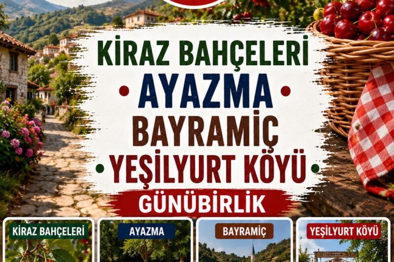 KİRAZ HASATI