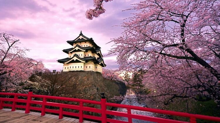 KLASİK JAPONYA & GÜNEY KORE